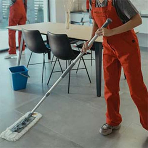 Eco-Friendly Cleaners (Standard Demo)